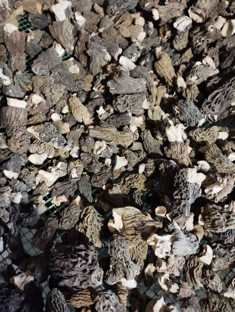 Зморшки мариновані