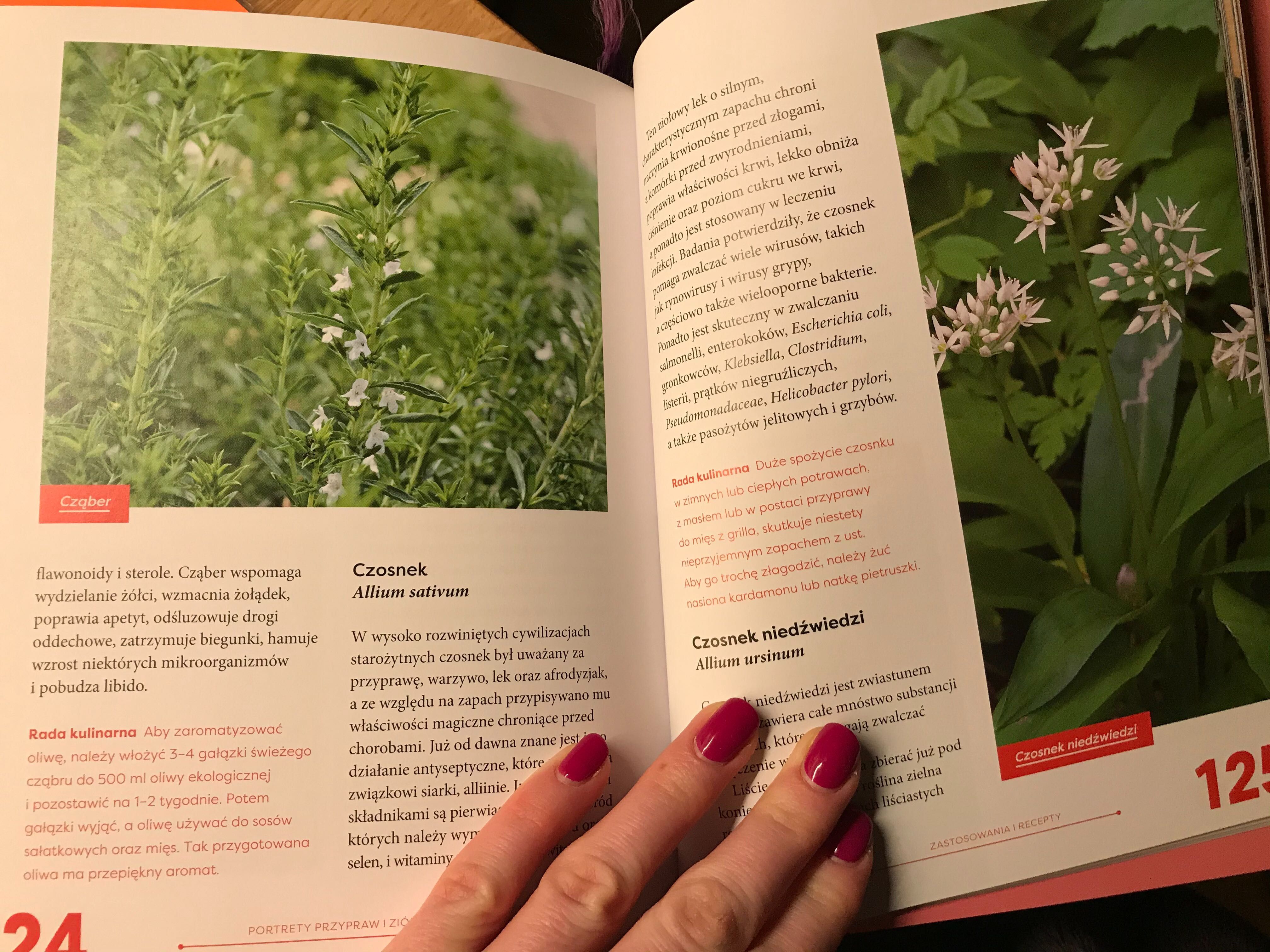 Książka Naturalne antybiotyki Claudia Ritter WAWA