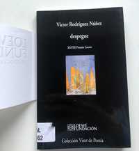 Victor Rodriguez Nunez "Despegue"