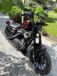 Harley Davidson iron 883