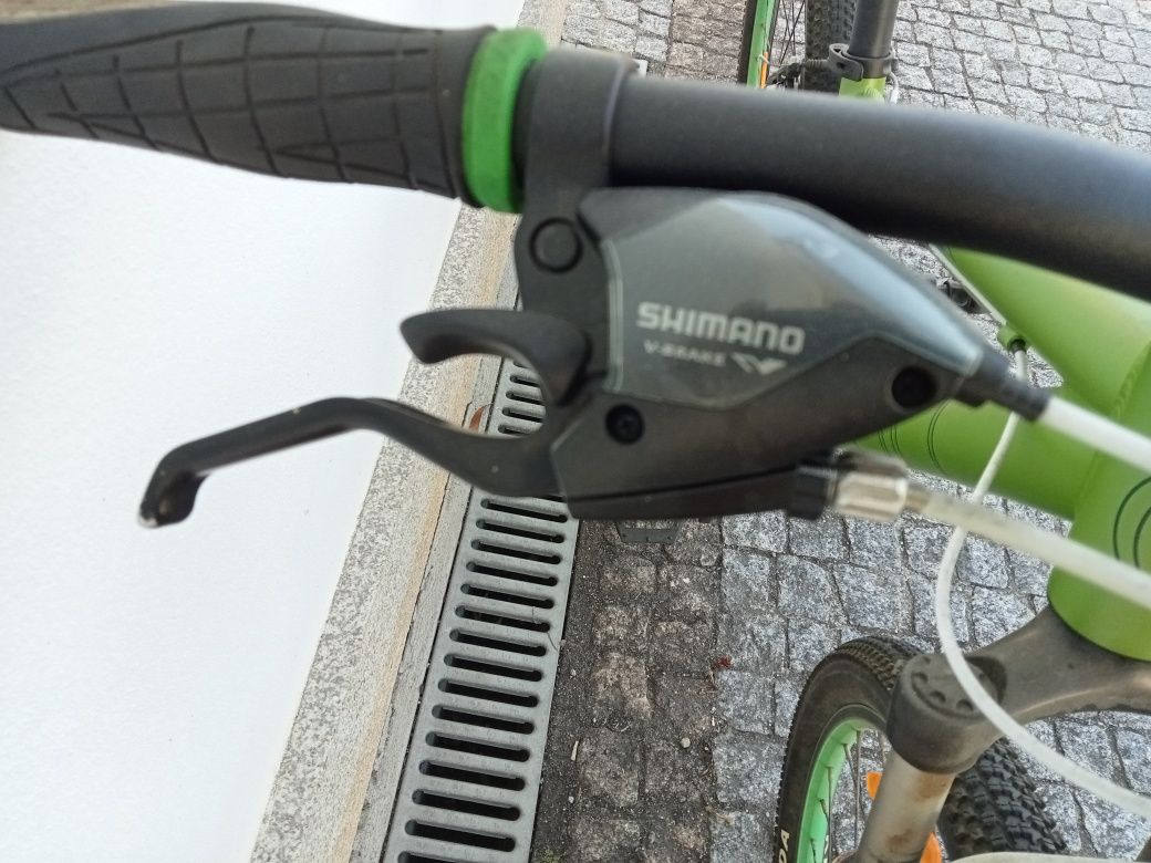 Bicicleta de montanha