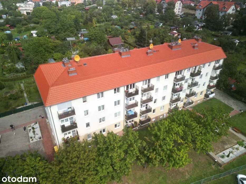 Mieszkanie do wynajęcia Żary