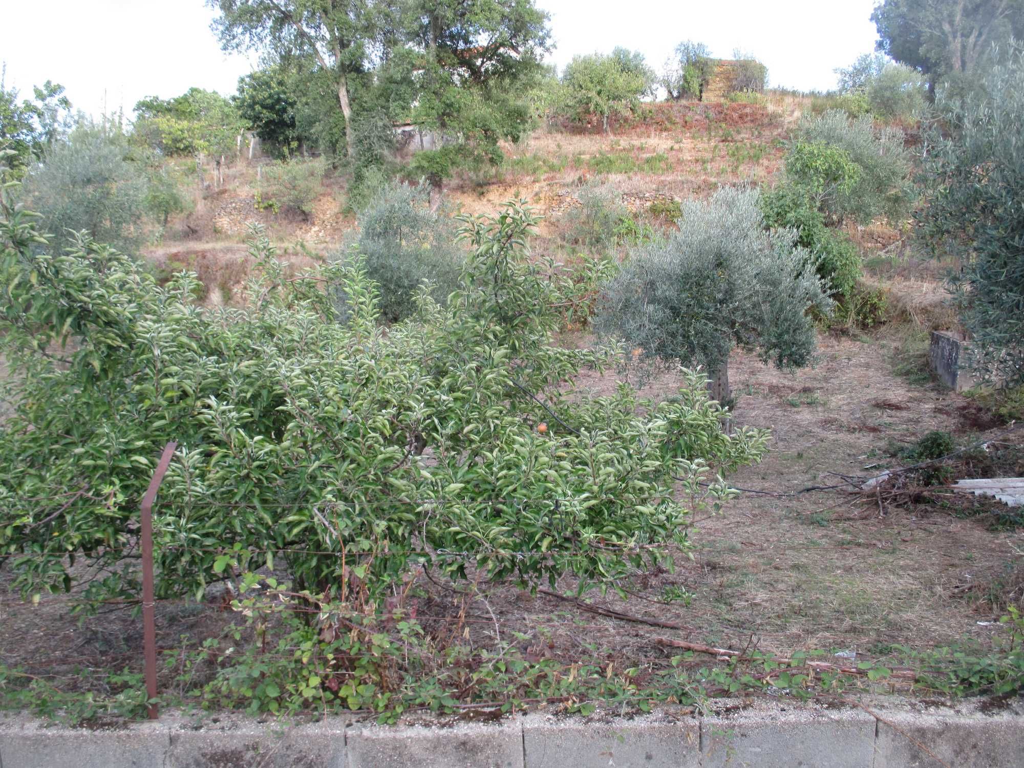 Terreno 2100 m2 - dentro povoação Sobrainho dos Gaios