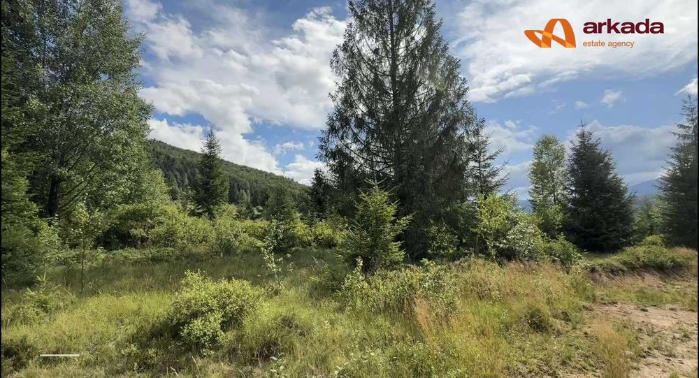 Продається земельна ділянка в с. Стара Гута