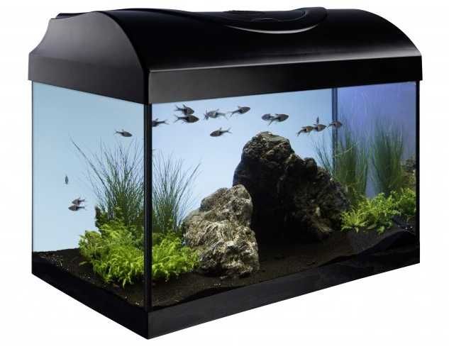 PROMOCJA! Zestaw akwarystyczny 54l Startup 60x30x30