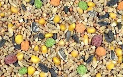 Karma uniwersalna dla bażantów, 10kg, pełnowartościowa mieszanka