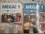 Podręcznik do języka niemieckiego