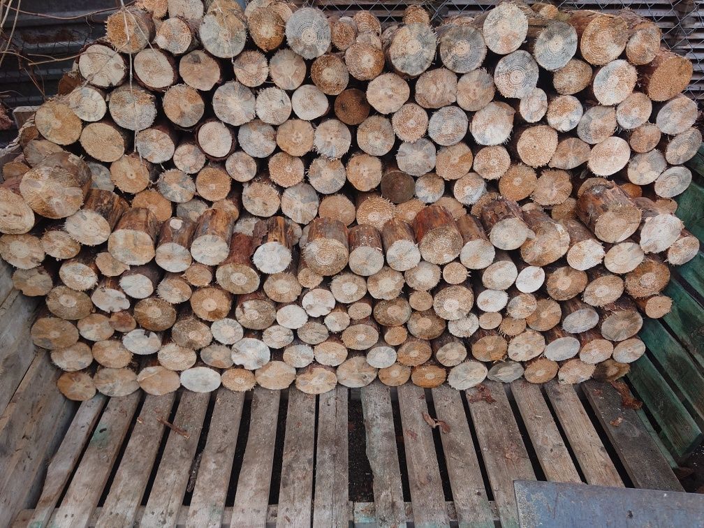 Sprzedam drzewo drewno opałowe,cięte na klocki,sezonowane,uczciwe metr