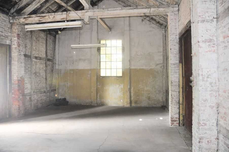 Lokal na działalność