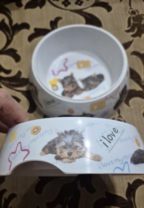 Миска для собак пластикова з зображенням цуценят йоркширського тер'єра