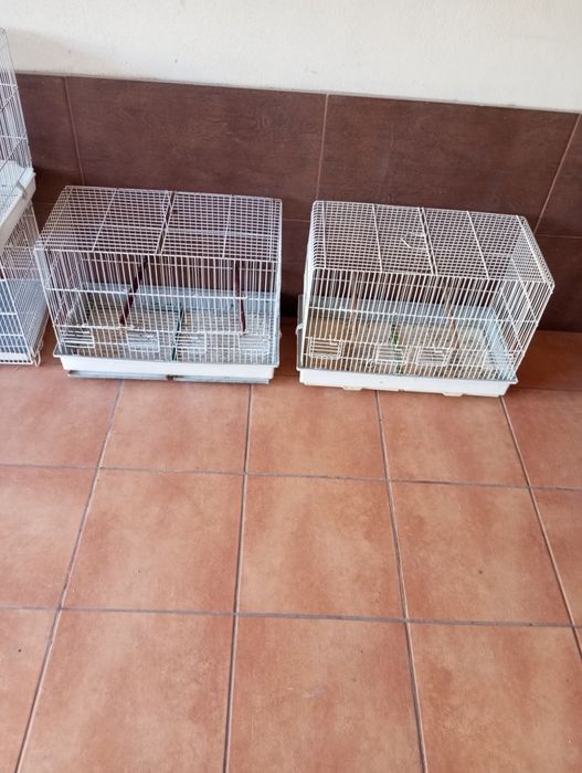 Gaiolas para pássaros