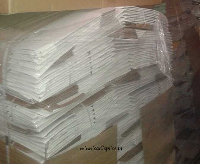 Karton - opakowanie  baginbox 3/5l x 10 do soków EUP