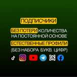 Увеличение Подписчиков Инстаграм, ТикТок, Телеграм, настройка рекламы