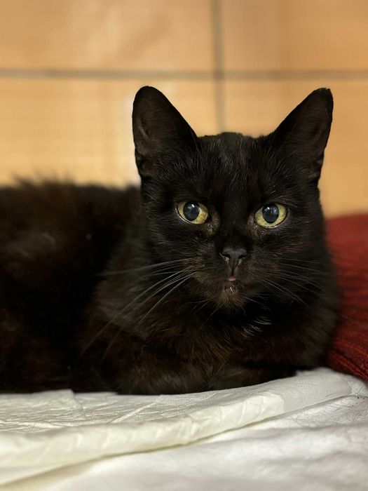 Piękna Zendaya czeka na dom!