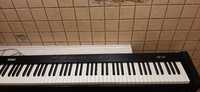 Korg SP 100 pianino cyfrowe