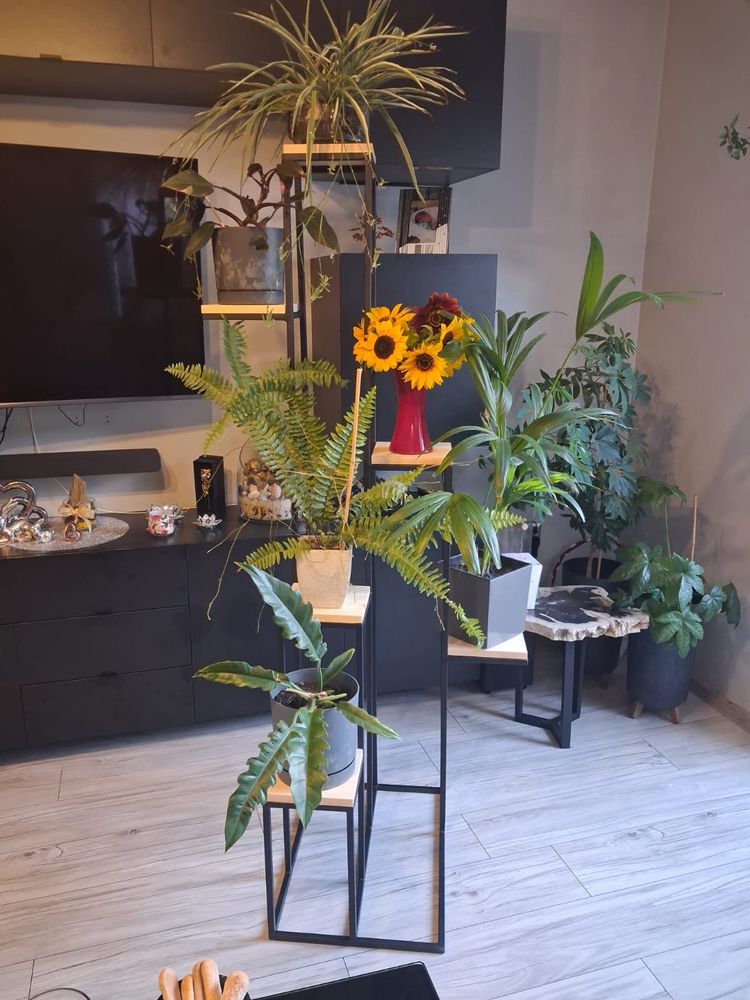 Kwietnik wysoki stojący 170cm loft skandynawski stojak półki drewniany
