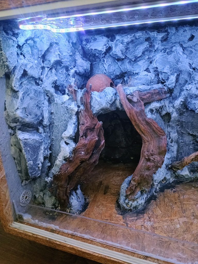 Terrarium dla węża/ gada o wymiarach 120/50/50
