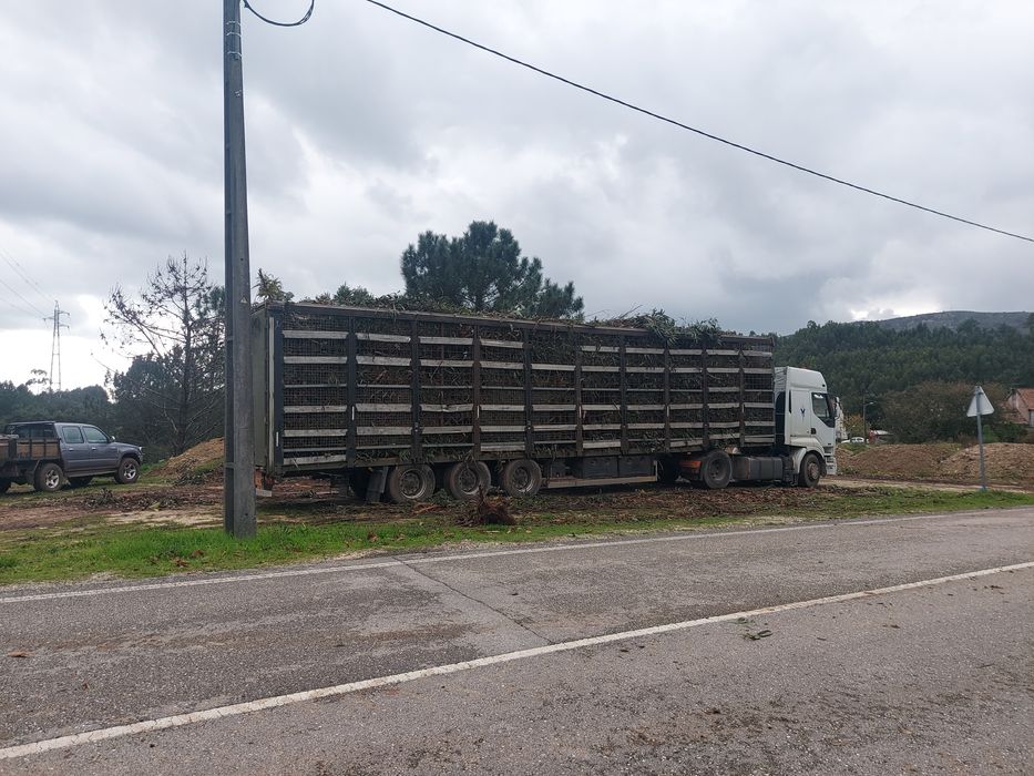 Semireboque lecitrailer para ramas biomassa