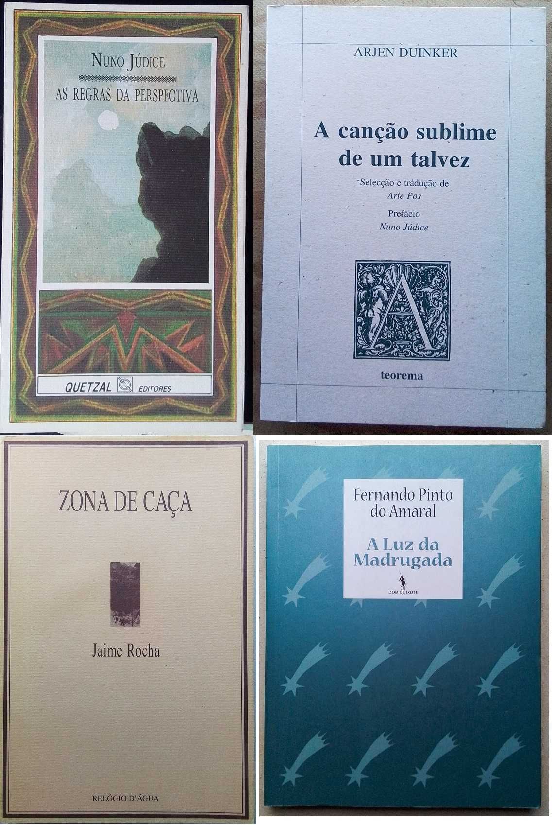 Pack de 23 livros de poesia