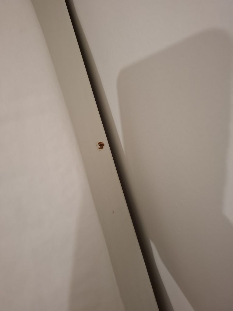 Cama crianca tippy da zippy