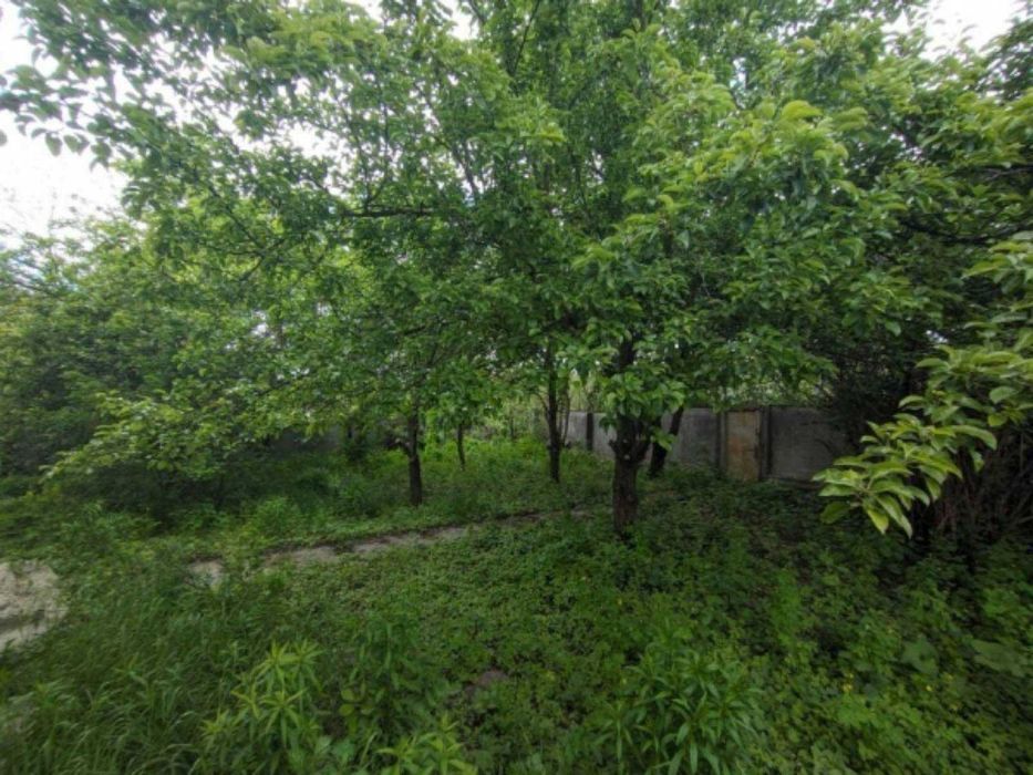 Продам буд. біля р. Десни, Рожни — чудове місце для родини!