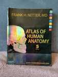 Atlas of human anatomy Netter angielski