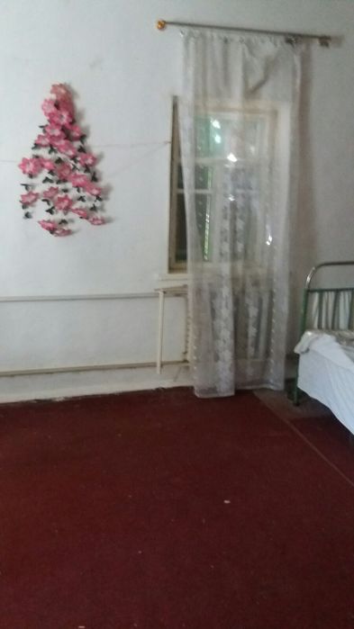 Продам будинок в Гадячі в селі Кнешивка Полтавська область