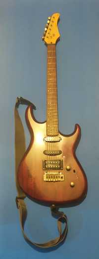 Gitara Cort G254