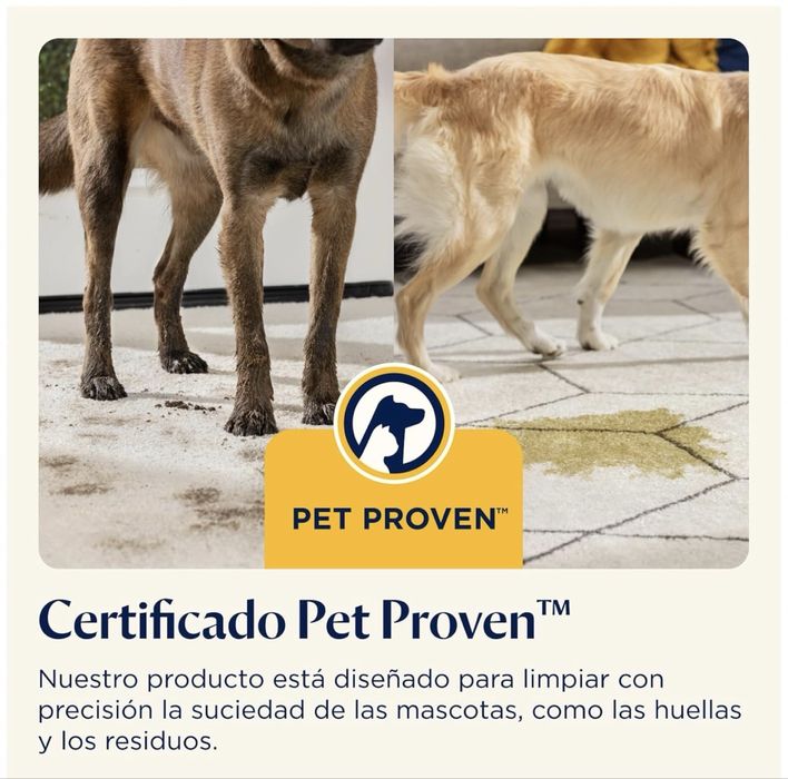 Bissell Spotclean Proheat