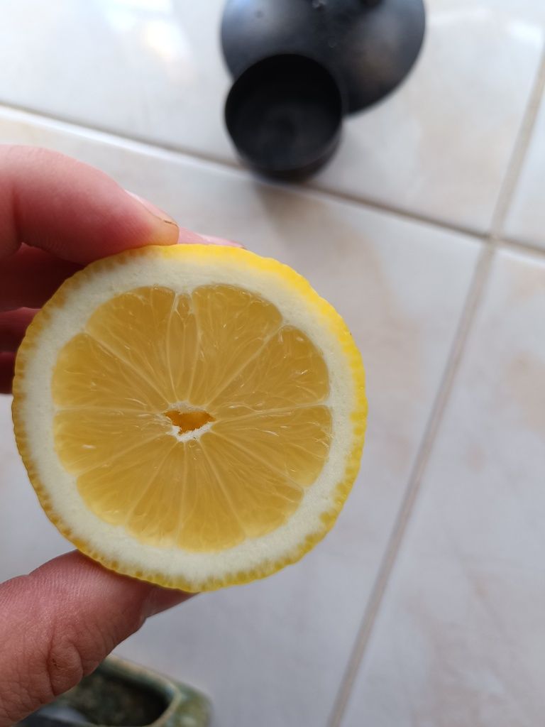 Limões sumarentos
