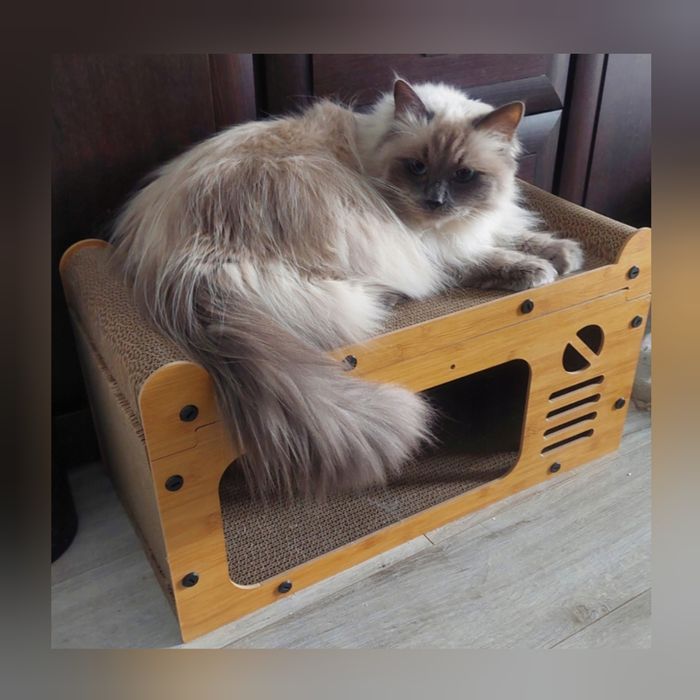 Drapak dla kota tekturowy piętrowy NOWY elegancki