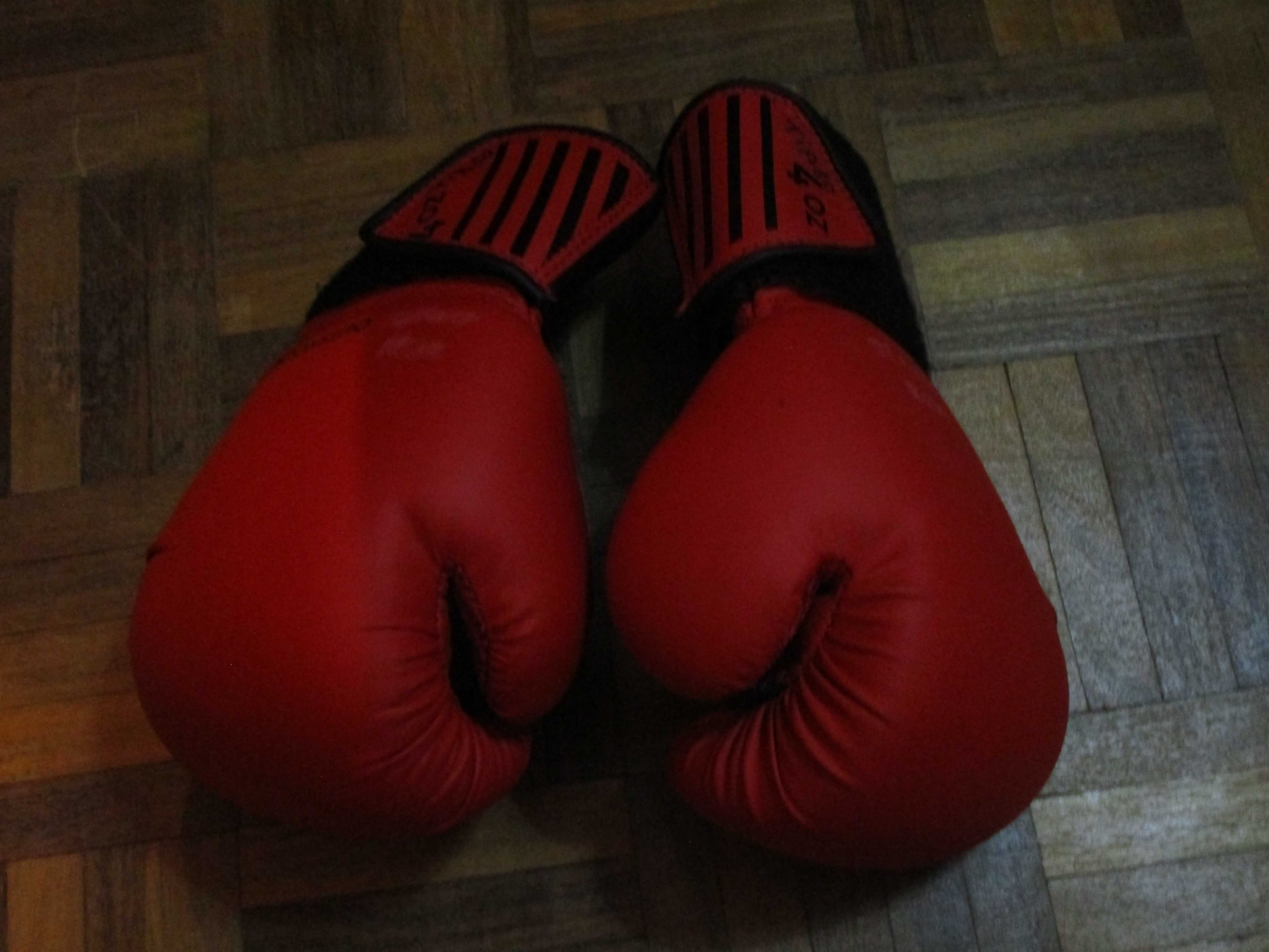 Luvas de box / kickboxing para principiantes - tamanho 4OZ Bom Estado