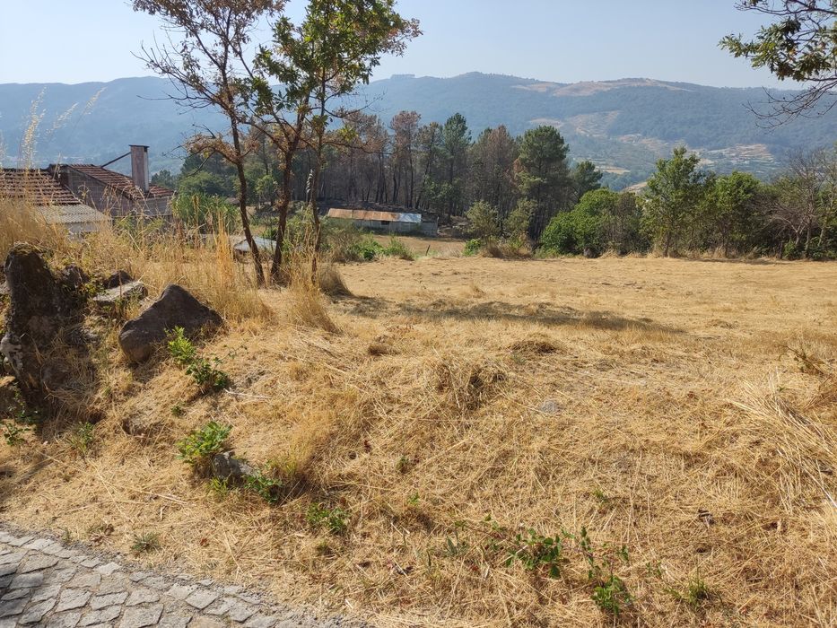 Terreno Agrícola