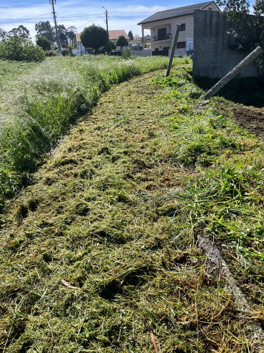 Limpeza de terrenos/ serviços agrícolas, jardinagem