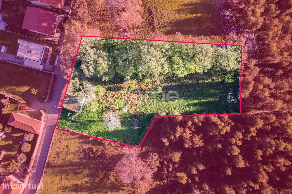 Terreno Urbano de 3053m² com Ruína