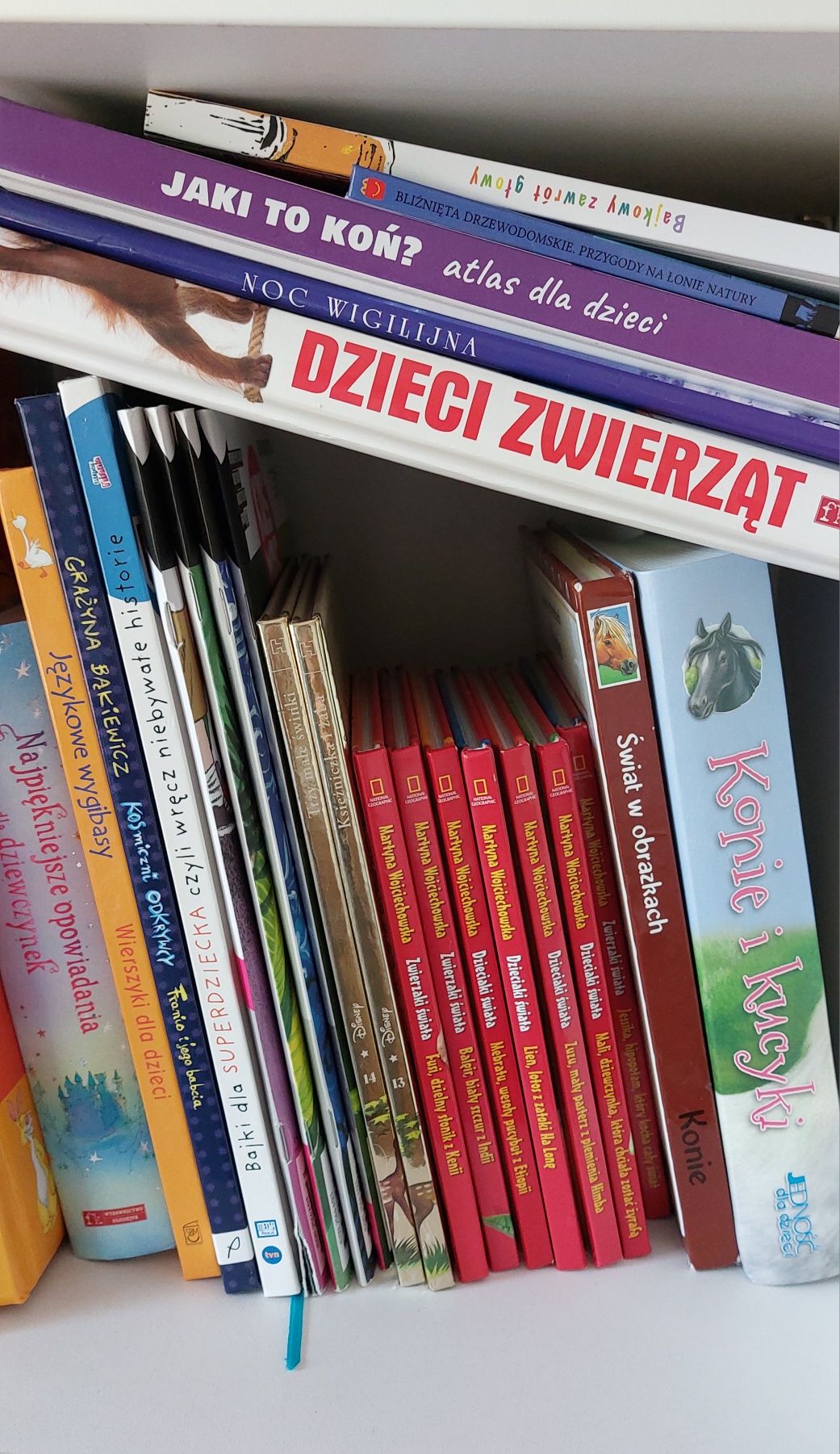 28 książek dla dzieci + 4 czasopisma