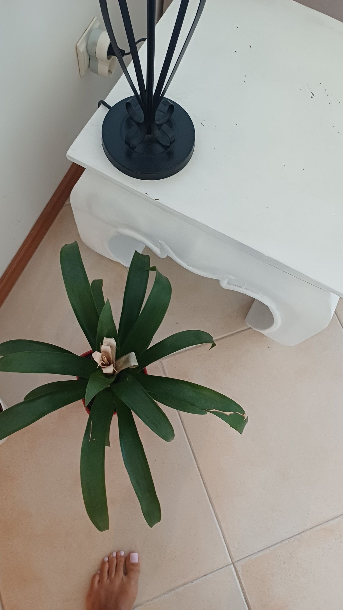 Mesa madeira 50x50
