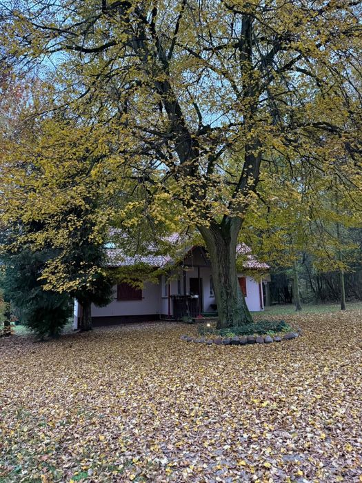 Slow dom na wyłączność na uboczu - Klangor Cisza i Spokój