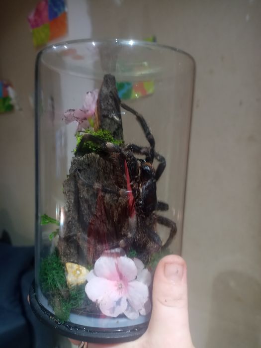 Preparaty na zamowienie