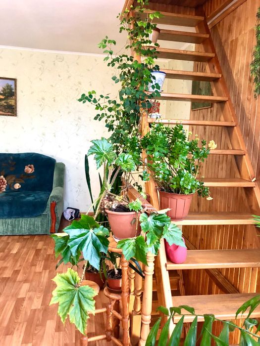 Сертификат!!! Продается два дома 250м²+78м². Без комиссии