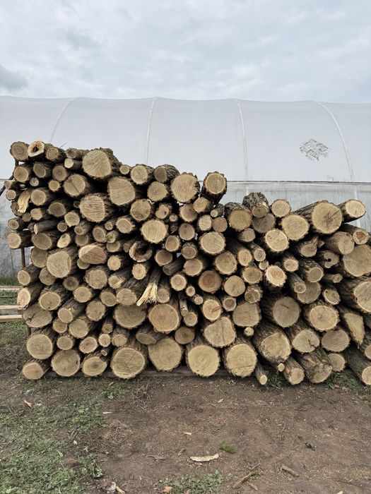 Дрова БЕЗ предоплат