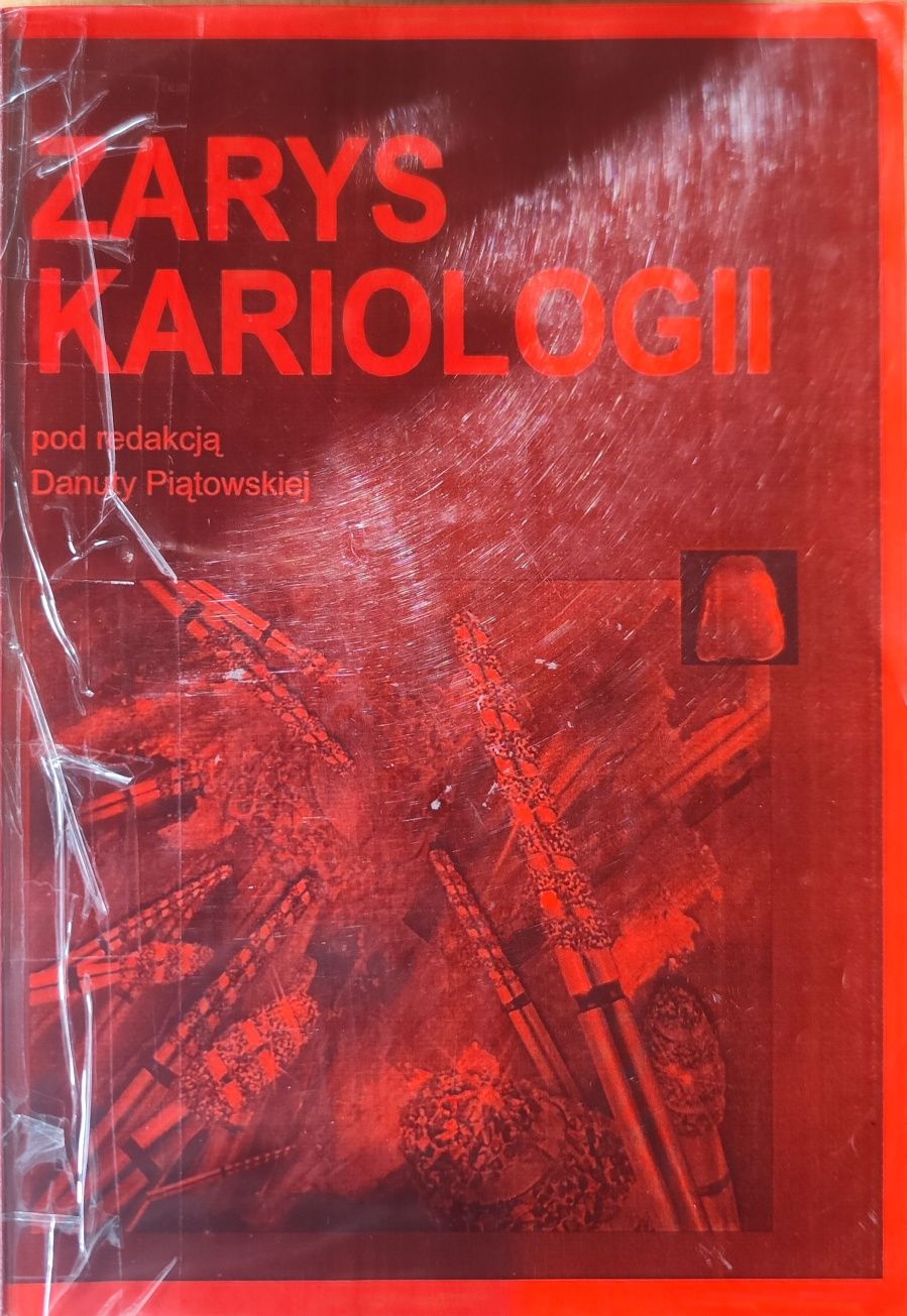 Zarys kariologii