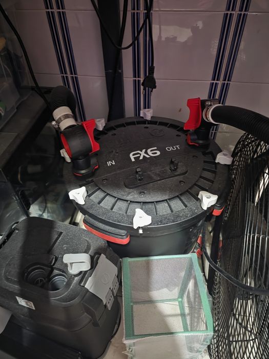 Aquario de 600 litros [fx6 menos de um ano]