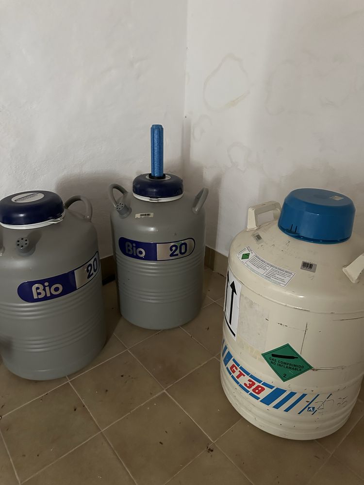 Contentores azoto