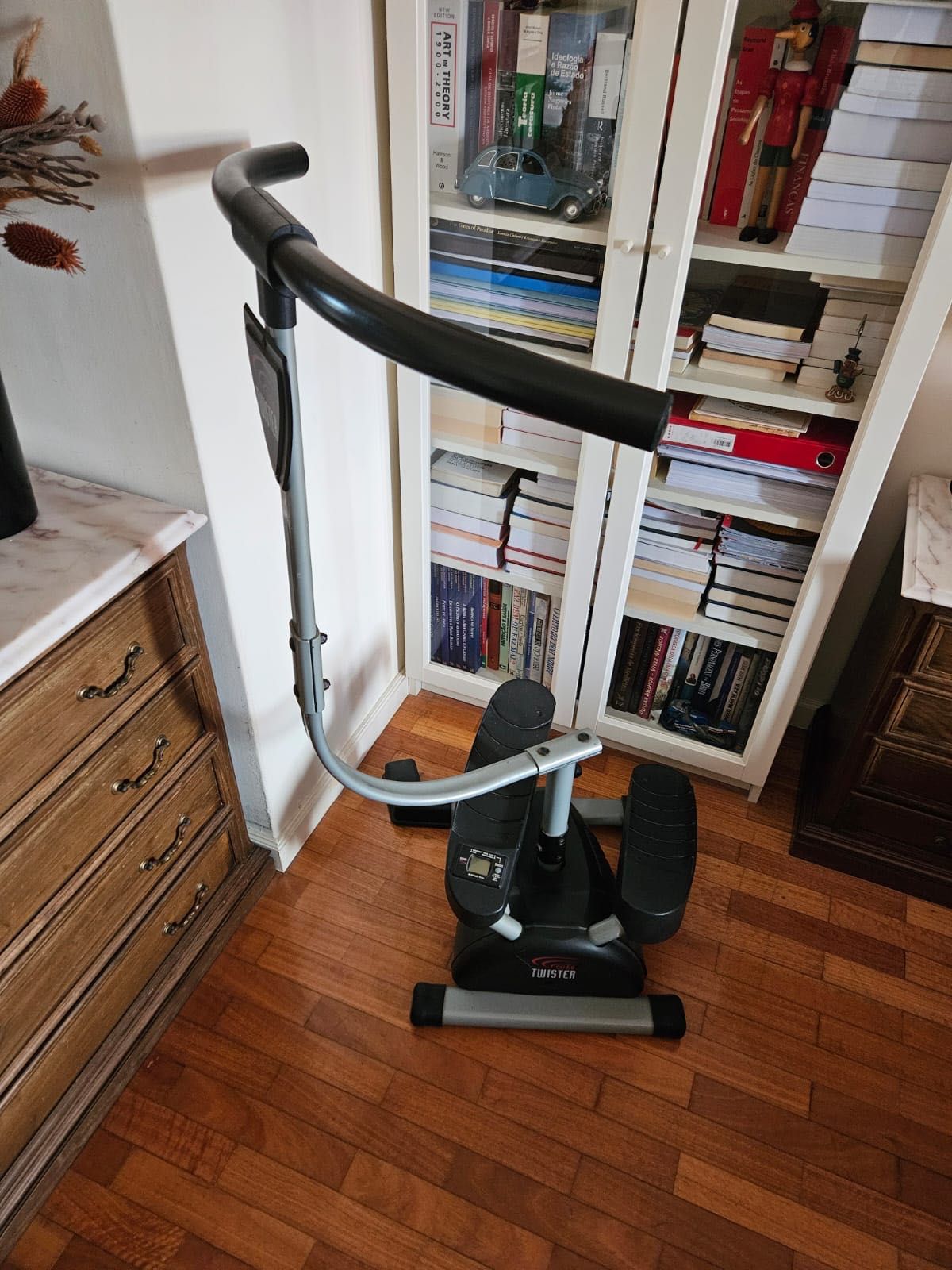 Vendo aparelho ginástica, cardio TWISTER