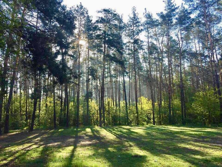 Продаж будинку біля лісу та озера, Бортничі, вул. Лісна 38