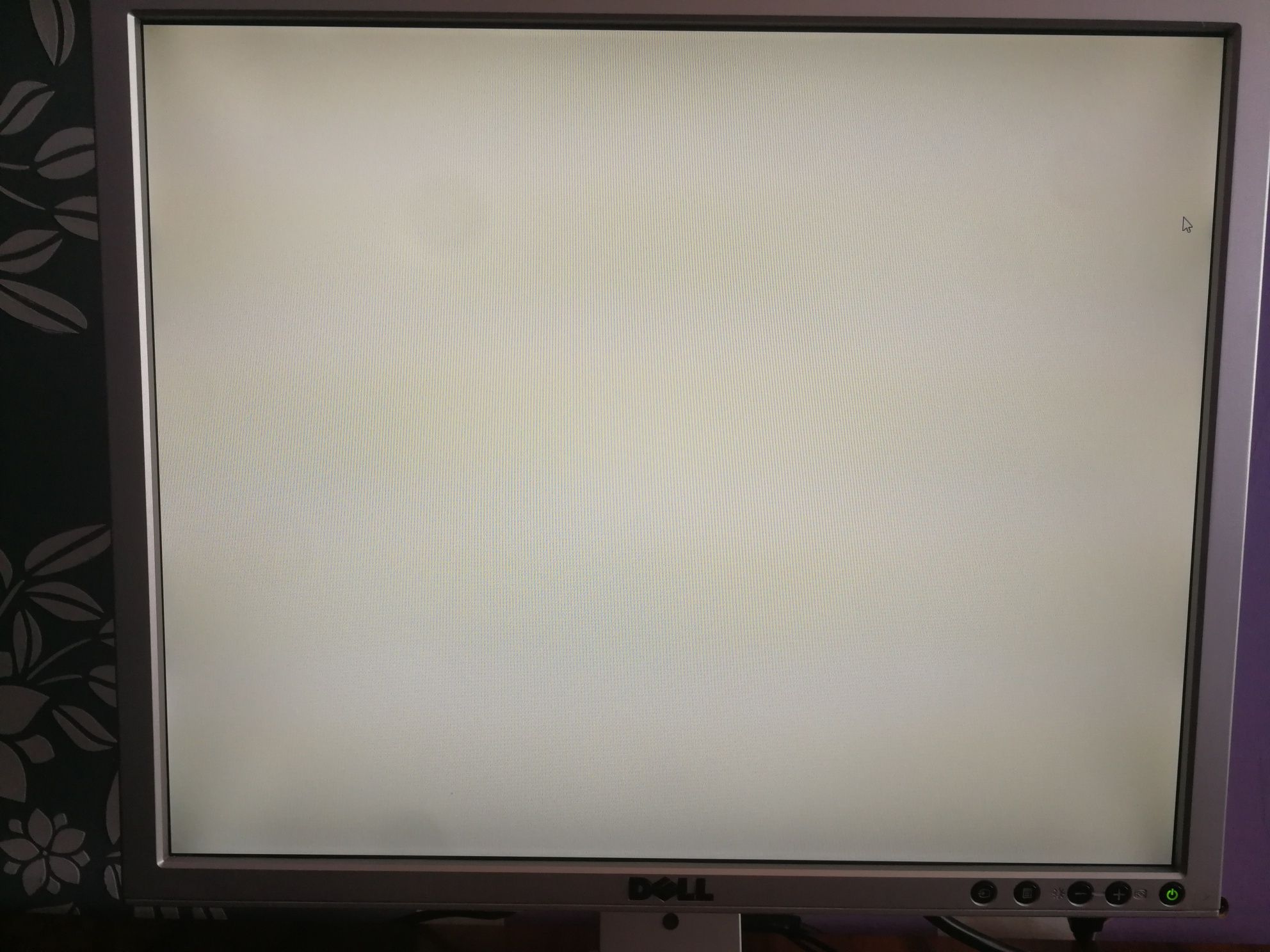 Monitor Dell 19"