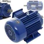 KRAFT&DELE Silnik Elektryczny 3 Fazowy 4 Km 3000w 380v 2840rpm