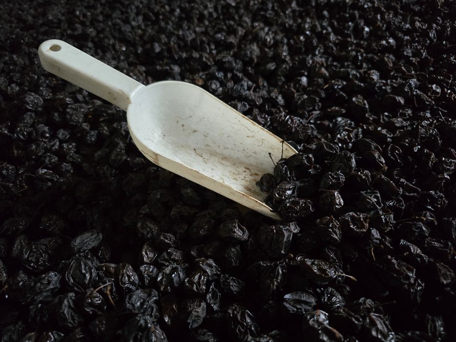 Śliwka suszona tradycyjną metodą damacha lub węgierka. Naturalna!