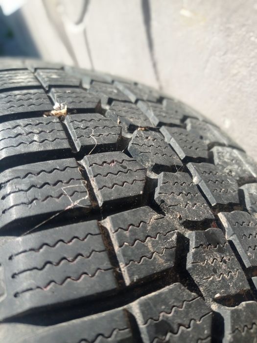 Зимові шини  Bridgestone WT11 195 65 r15